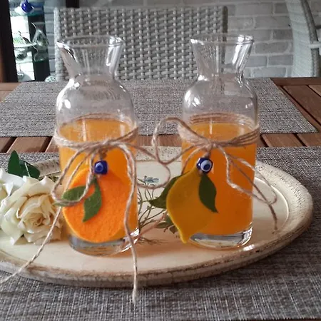 Citrus Garden Hotel