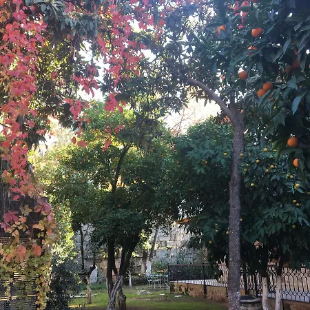 Citrus Garden 3* Antalya